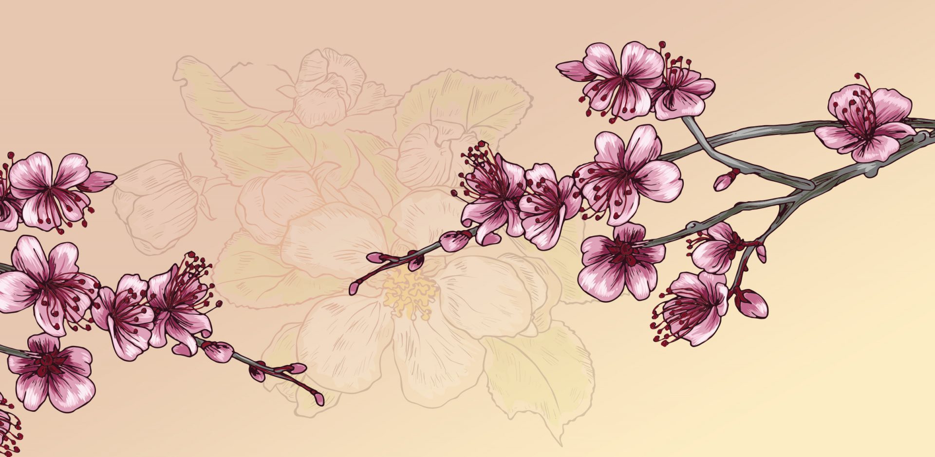 A drawing of flowers with pink petals and leaves.