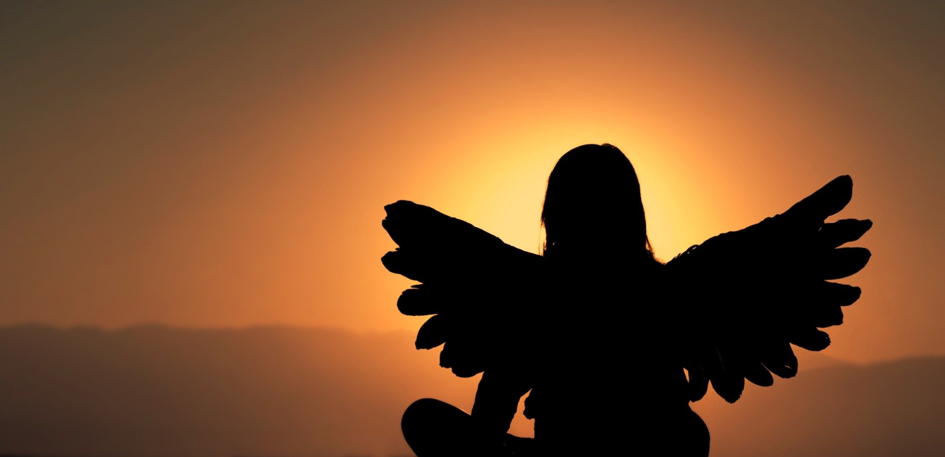 A person with wings sitting in front of the sun.