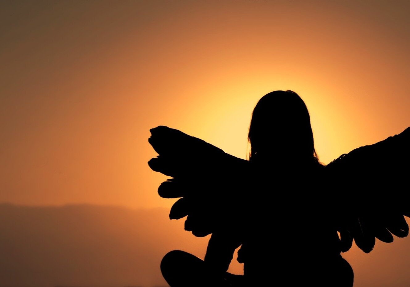 A person with wings sitting in front of the sun.