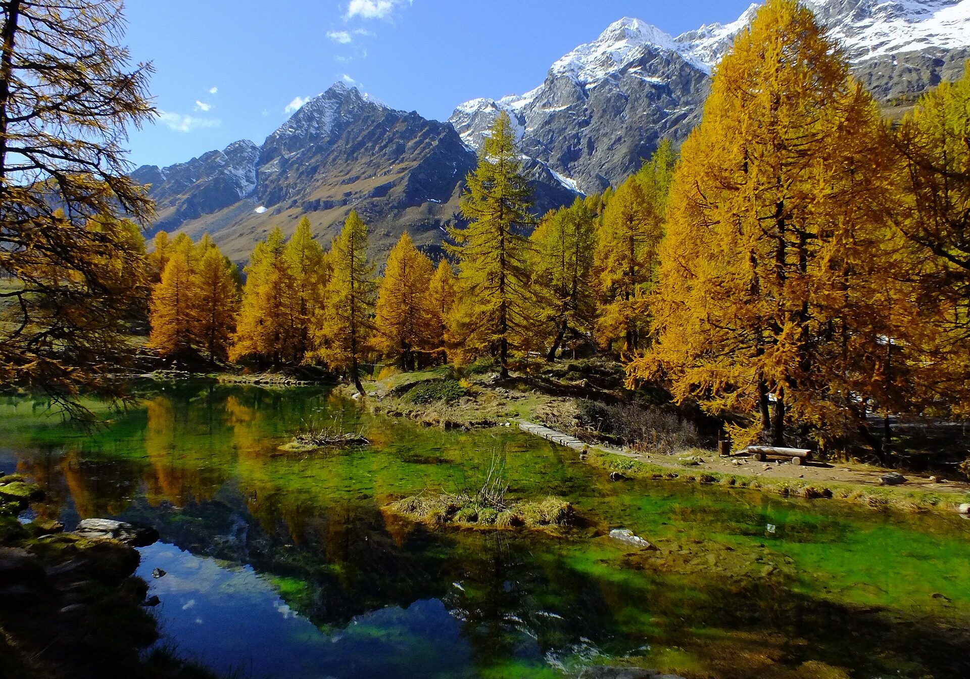 A lake surrounded by trees and mountains in the background.